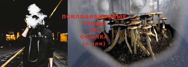 синтетический гашиш Богородск