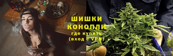 метамфетамин Богданович
