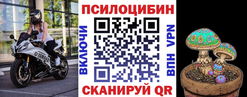 Псилоцибиновые грибы GOLDEN TEACHER  где купить наркоту  Кирово-Чепецк 